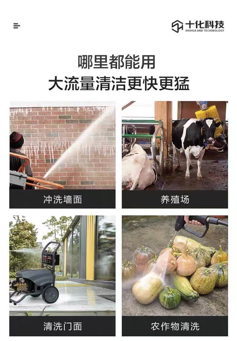 wheeled Electric pressure washer (14)